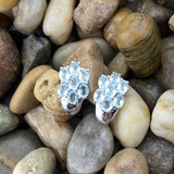 Blue Topaz earrings set in 925 Sterling Silver