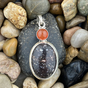 Crinoid Fossil and Carnelian pendant set in 925 Sterling Silver